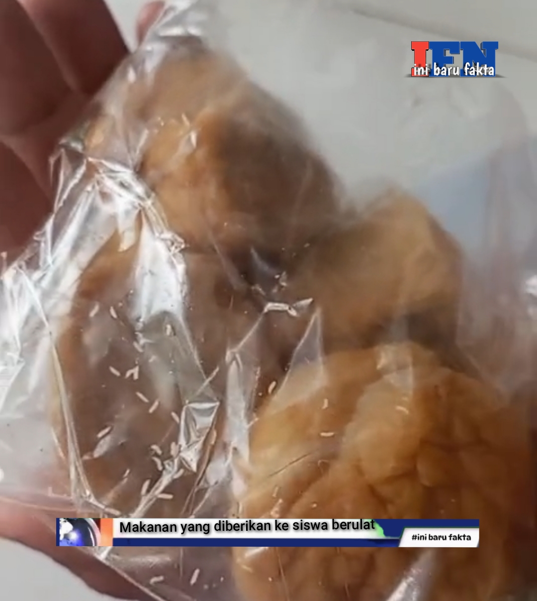 Lagi…!! di Probolinggo,Sajian makanan MBG Kepada Siswa Sekolah ditemukan Berulat.